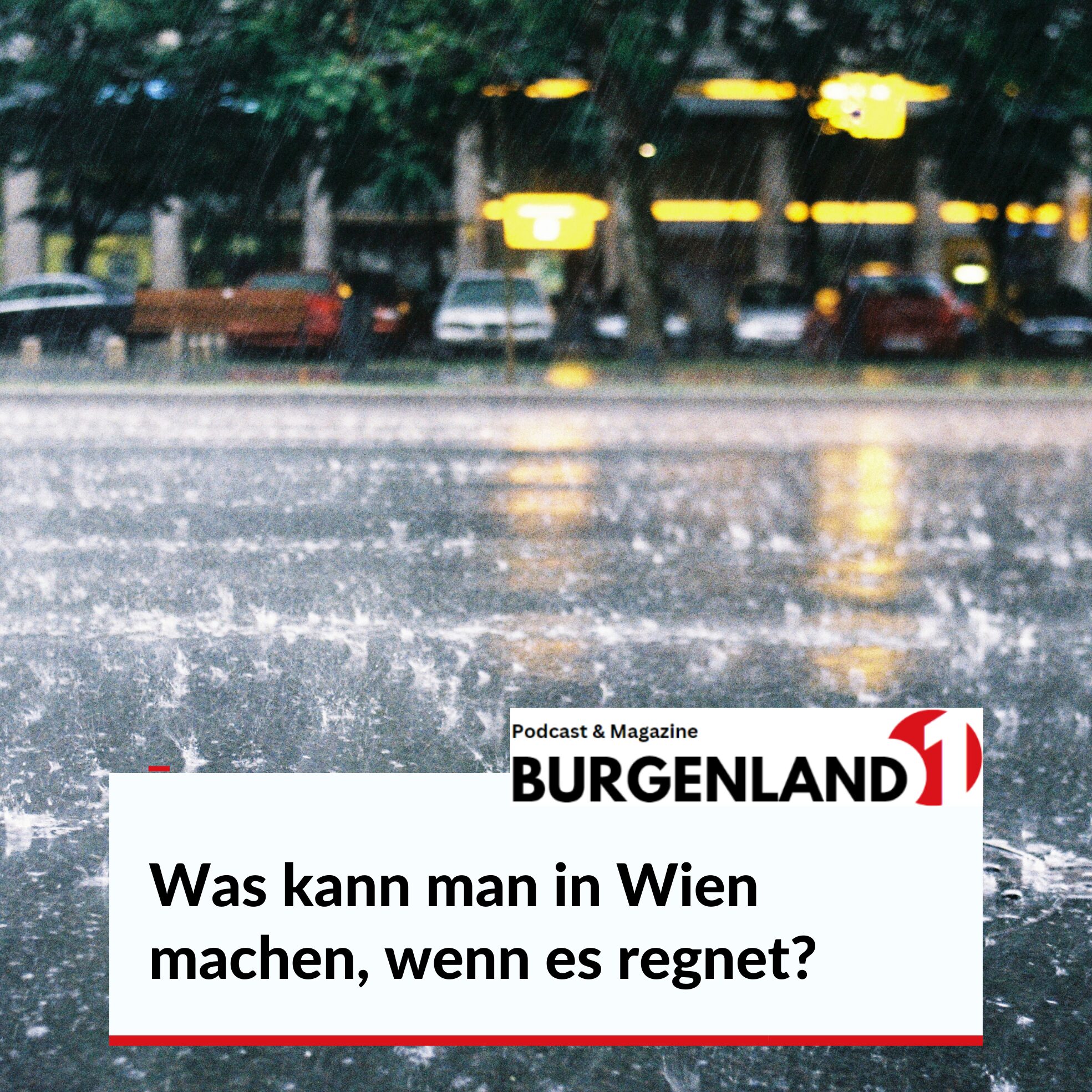 Was kann man in Wien machen, wenn es regnet?