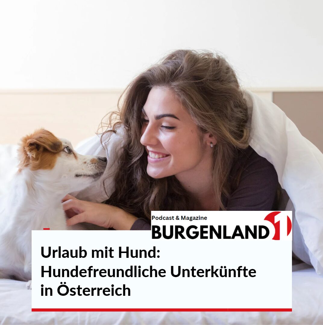 Urlaub mit Hund: Hundefreundliche Unterkünfte in Österreich