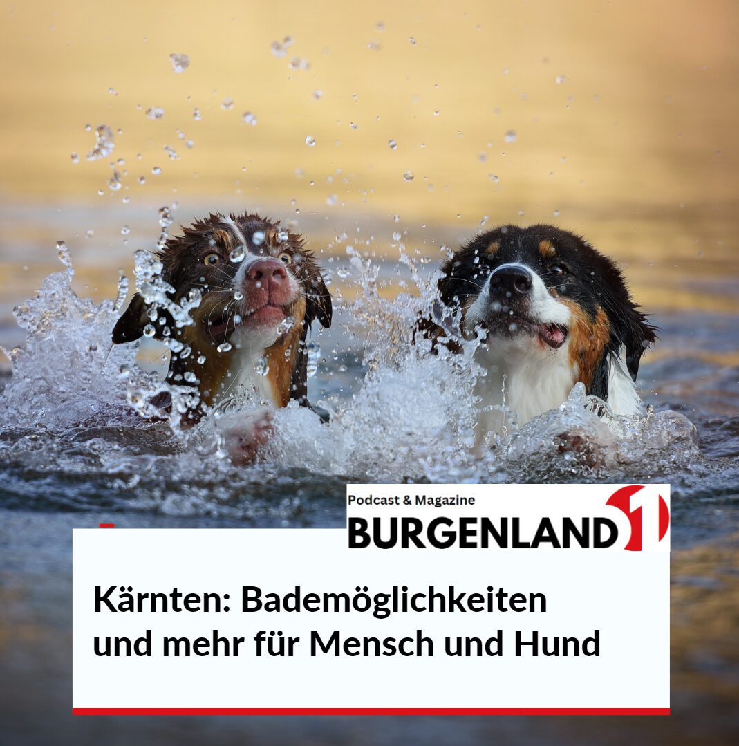 Kärnten: Bademöglichkeiten und mehr für Mensch und Hund