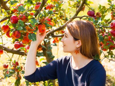 Entdecken Sie das Apfelland am Stubenbergsee: Natur pur und Genuss in der Oststeiermark