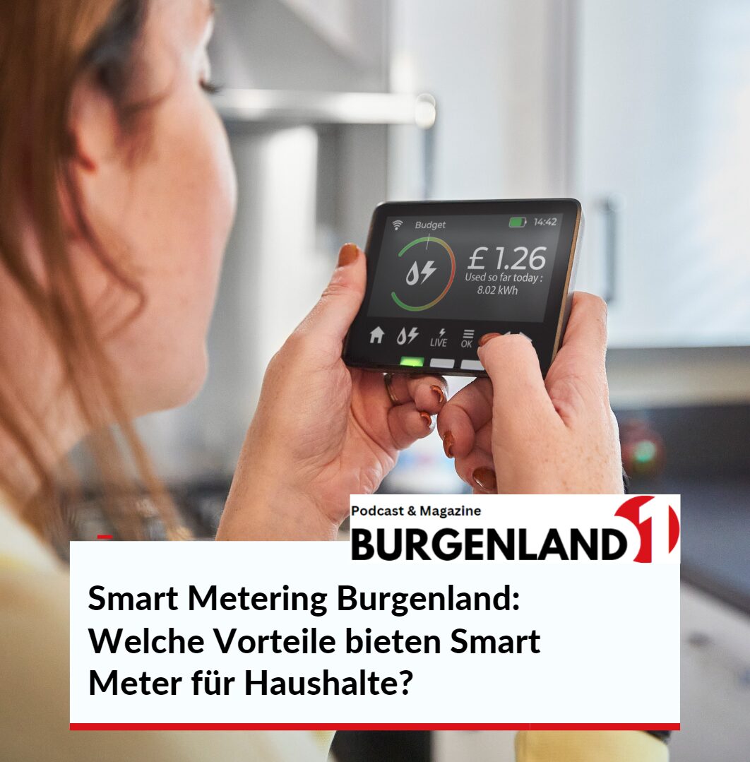 Smart Metering Burgenland: Welche Vorteile bieten Smart Meter für Haushalte?