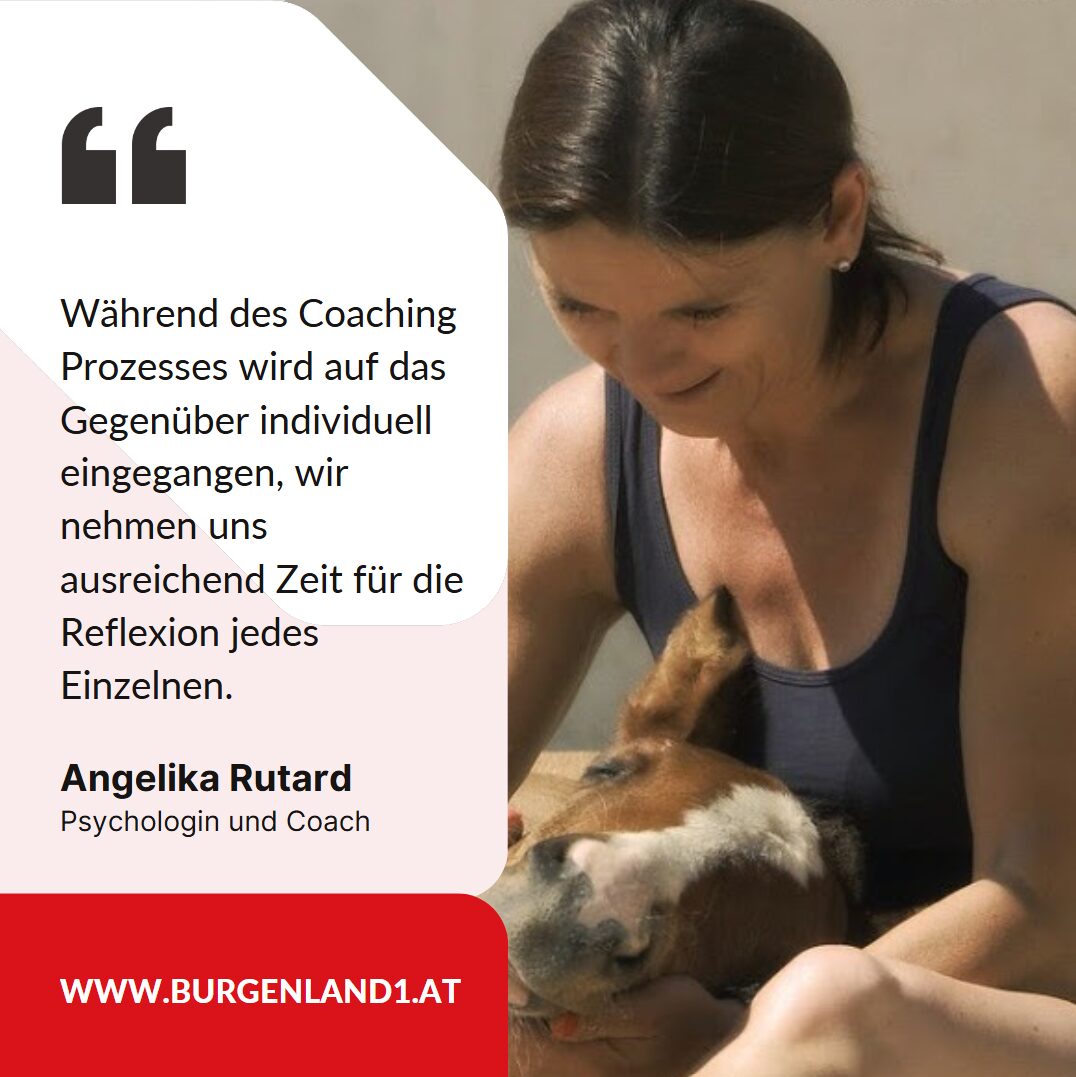 Angelika rutard pferde coaching