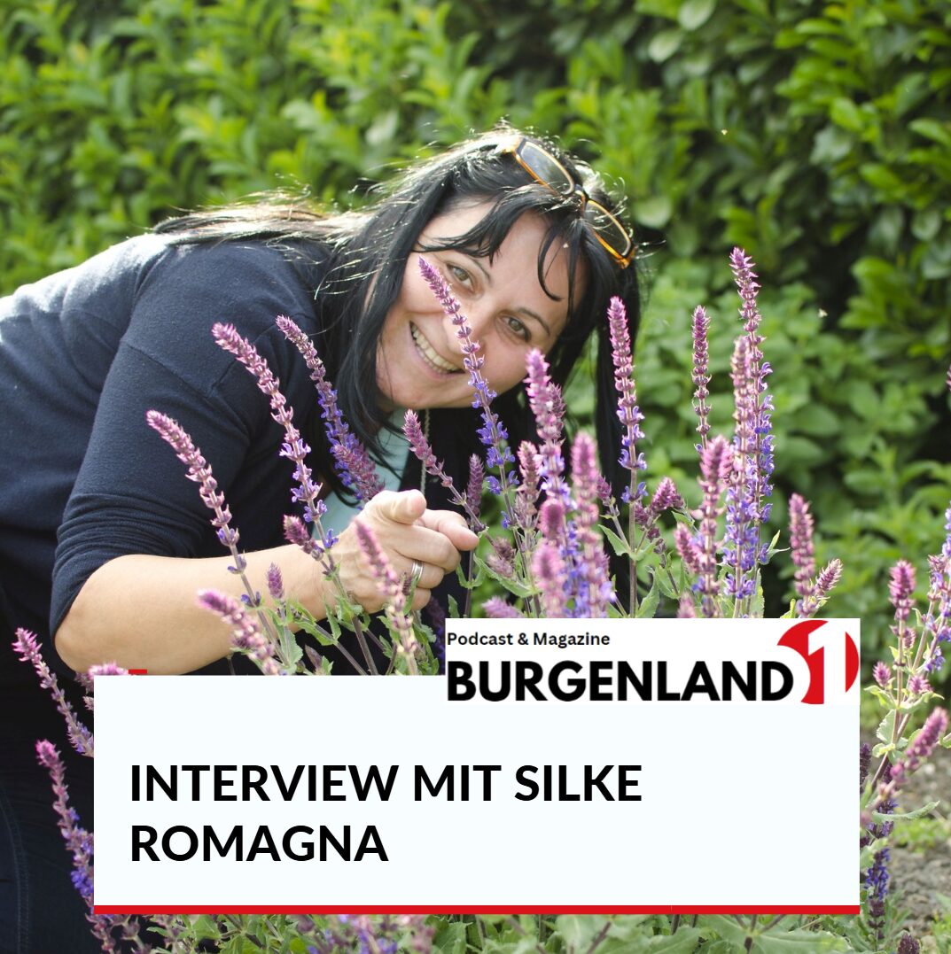 interview mit silke romagna