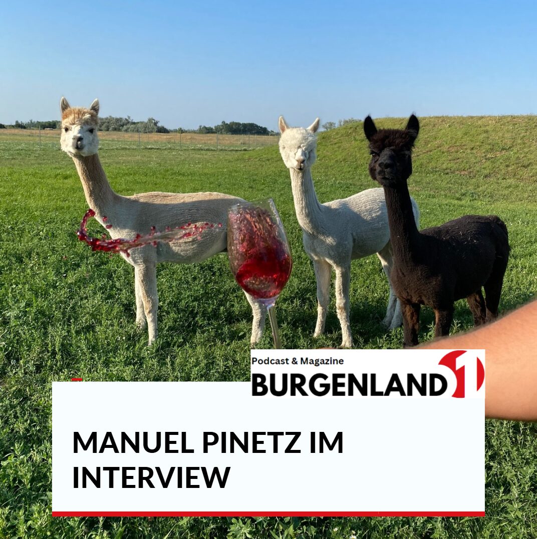 manuel pinetz interview