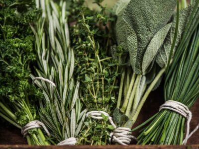 Welche Kräuter passen zusammen – Die besten Kräuterkombinationen für dein Beet
