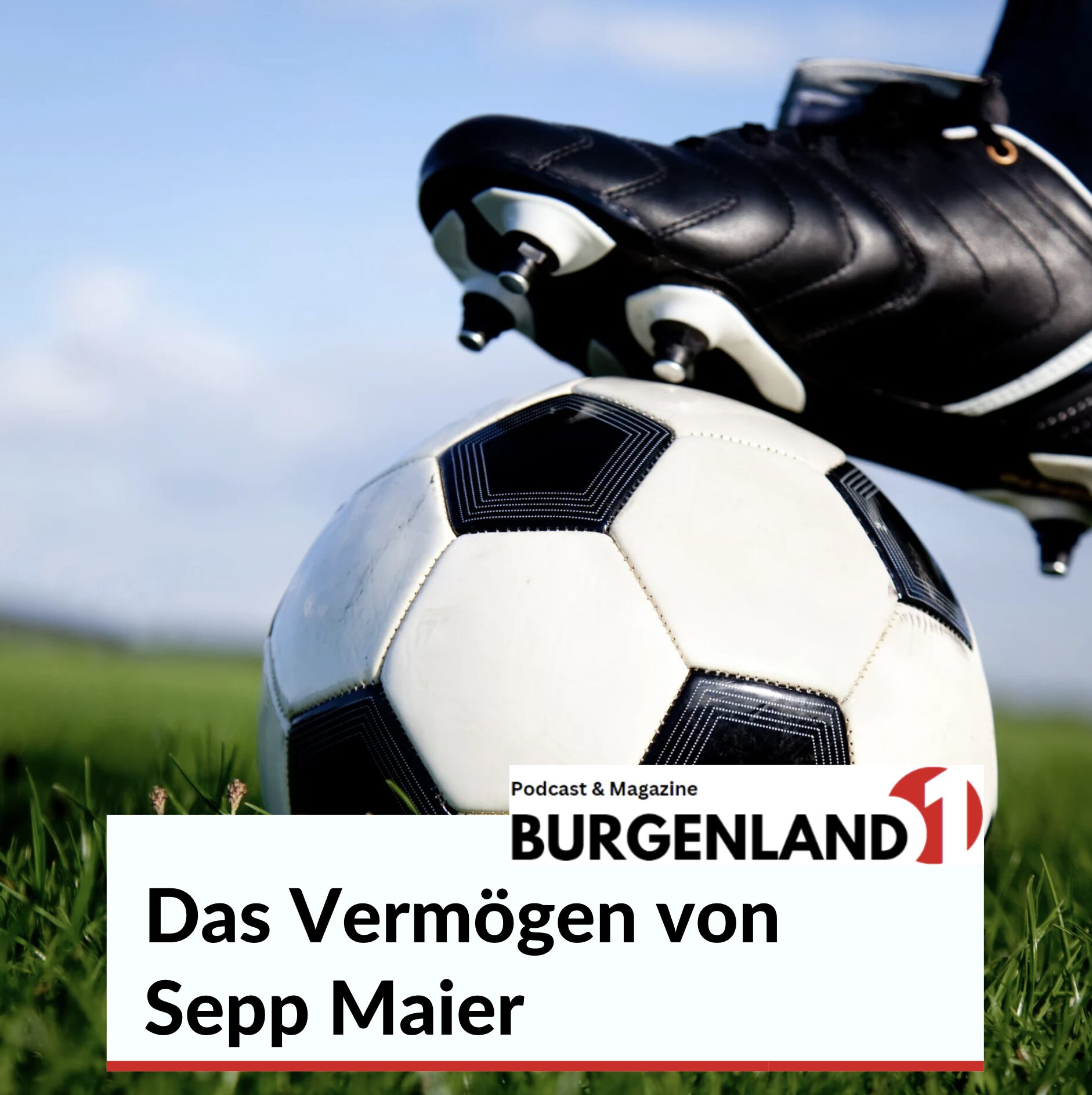 Das Vermögen von Sepp Maier