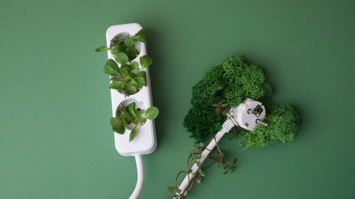 Nachhaltig bauen im Burgenland: Diese Materialien liegen im Trend 