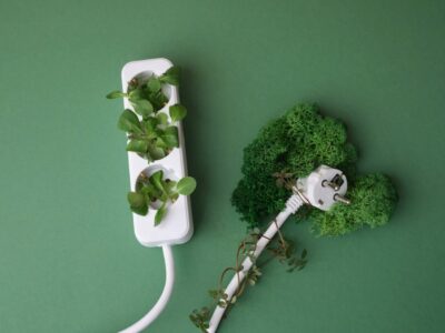 Nachhaltig bauen im Burgenland: Diese Materialien liegen im Trend