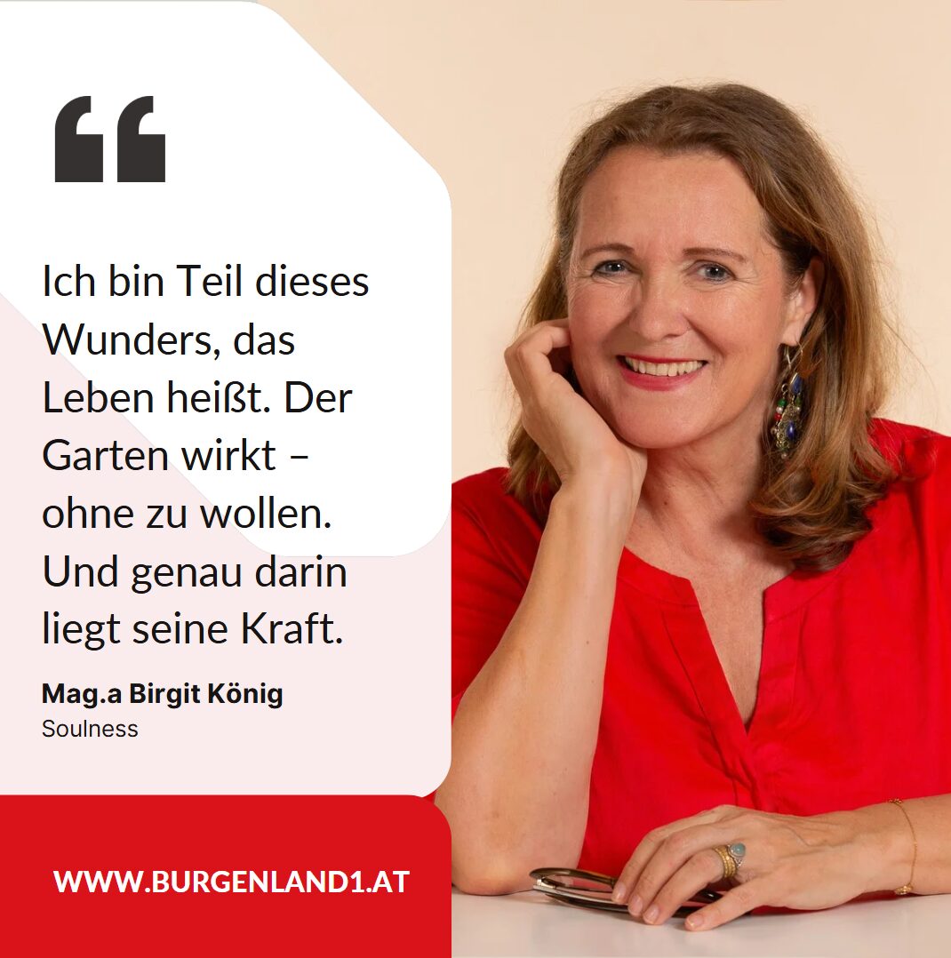 soulness mag a birgit