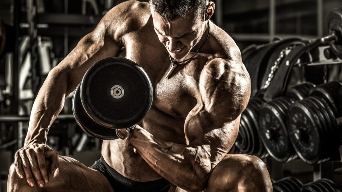 Arnold Schwarzenegger Vermögen: Wie der Bodybuilder und Schauspieler ein Milliardenimperium aufbaute