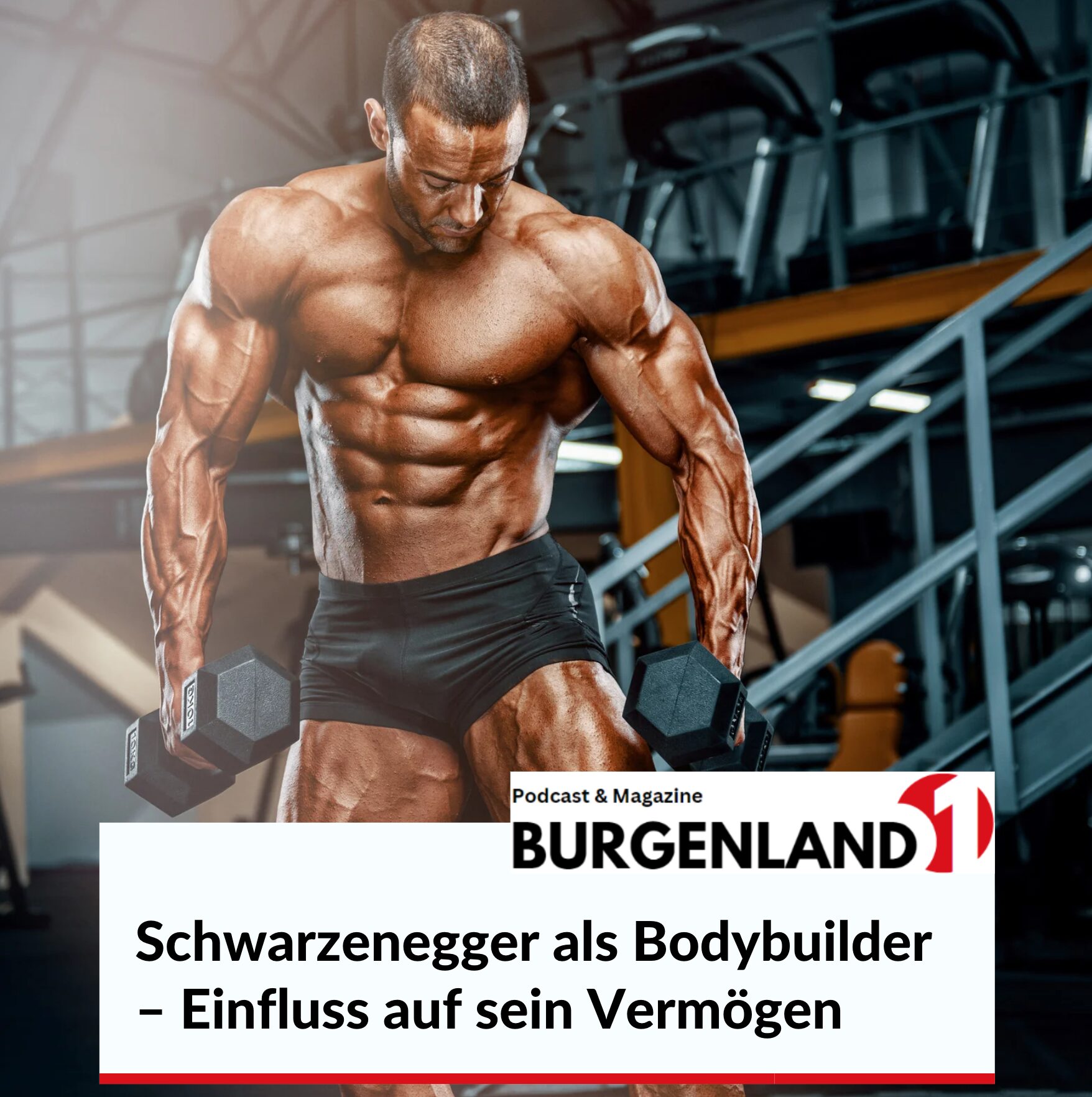 Schwarzenegger als Bodybuilder – Einfluss auf sein Vermögen