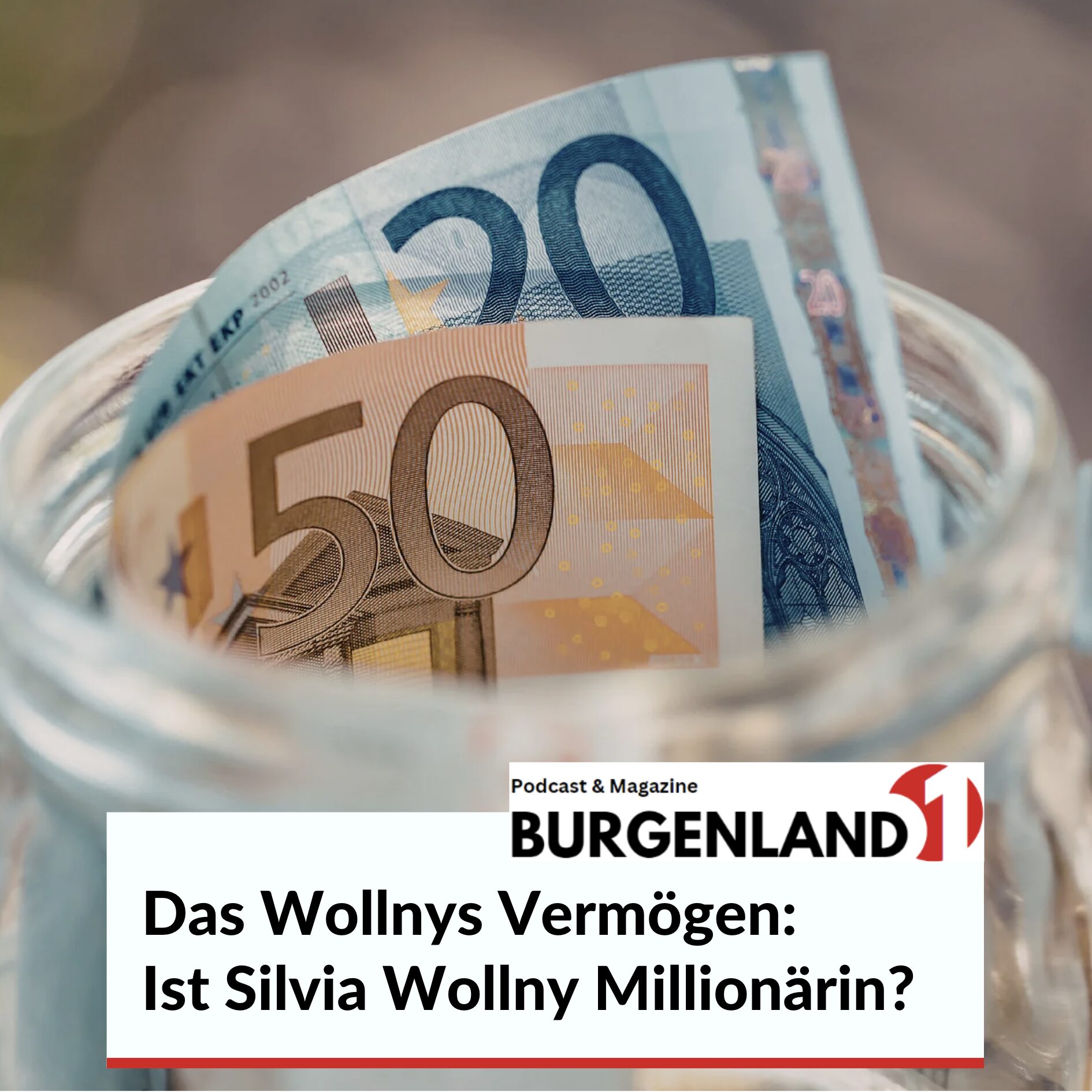 Das Wollnys Vermögen: Ist Silvia Wollny Millionärin? Das Wollnys Vermögen: Ist Silvia Wollny Millionärin?