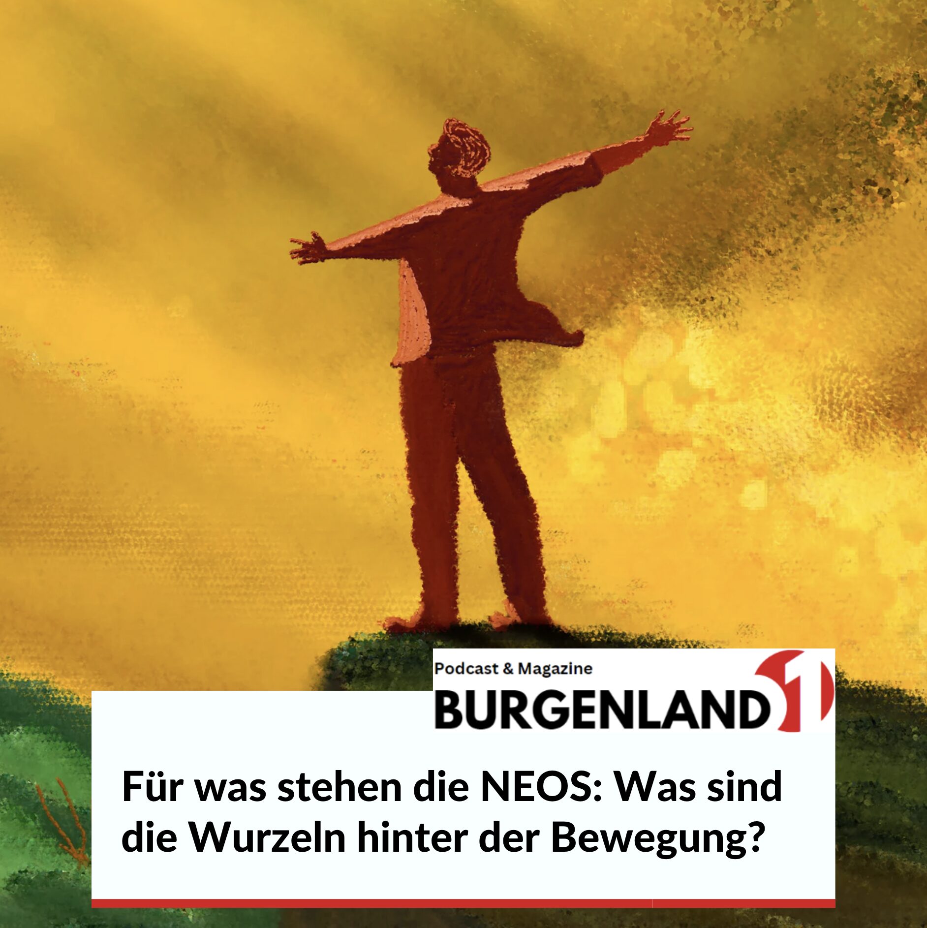 Für was stehen die NEOS: Was sind die Wurzeln hinter der Bewegung?
