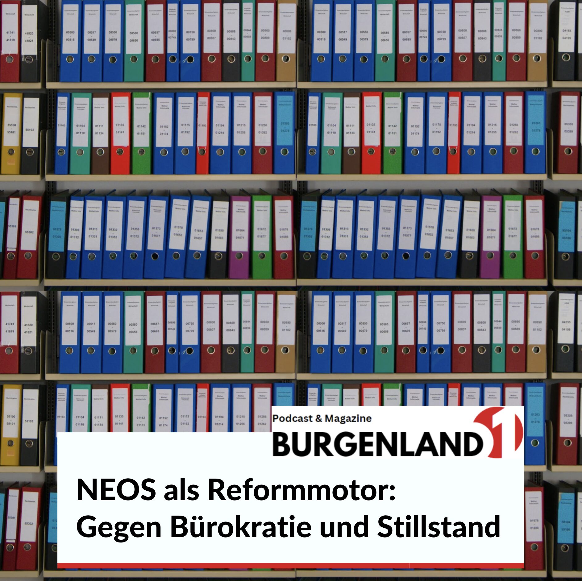 NEOS als Reformmotor: Gegen Bürokratie und Stillstand