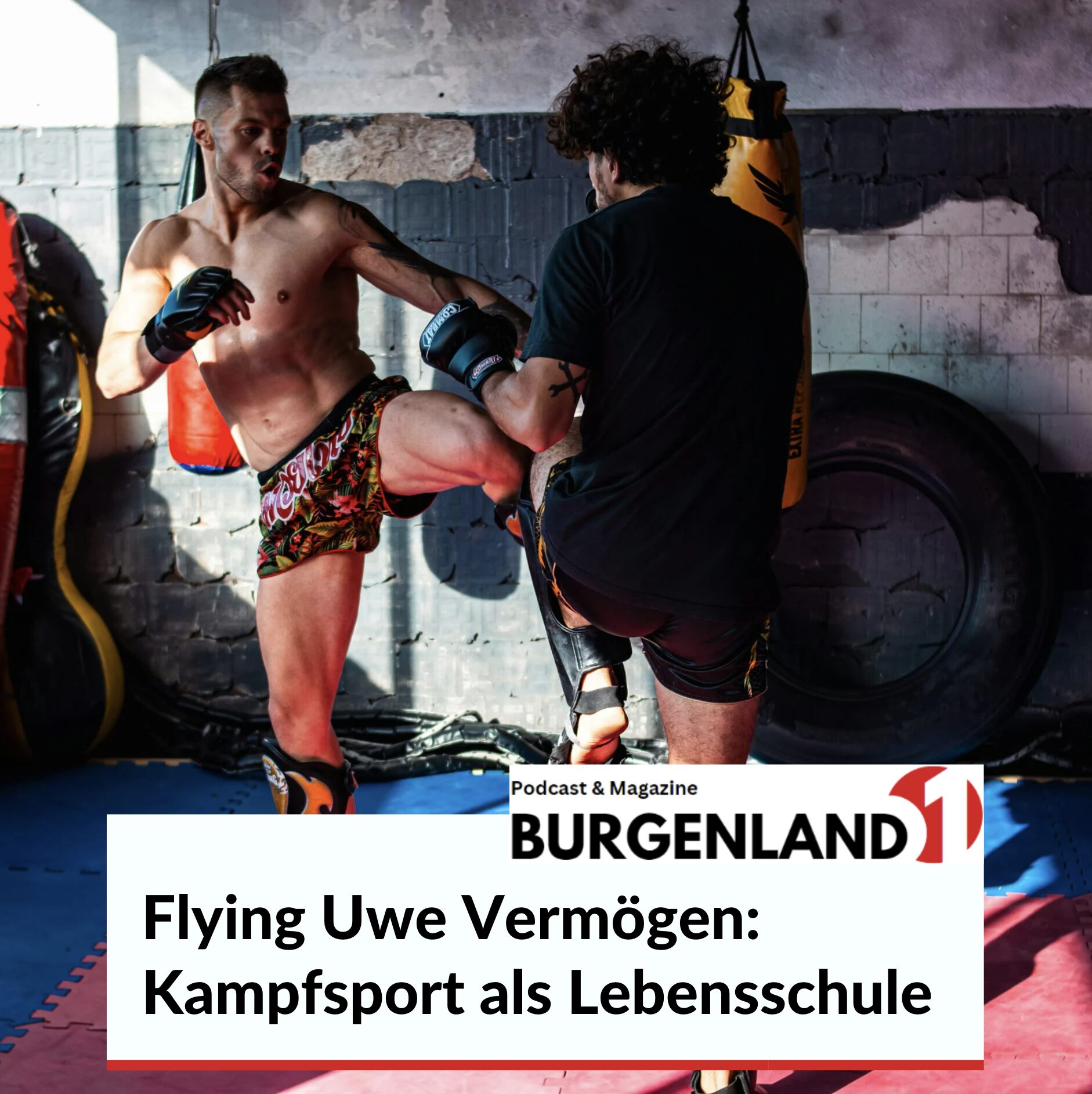 Flying Uwe Vermögen: Kampfsport als Lebensschule