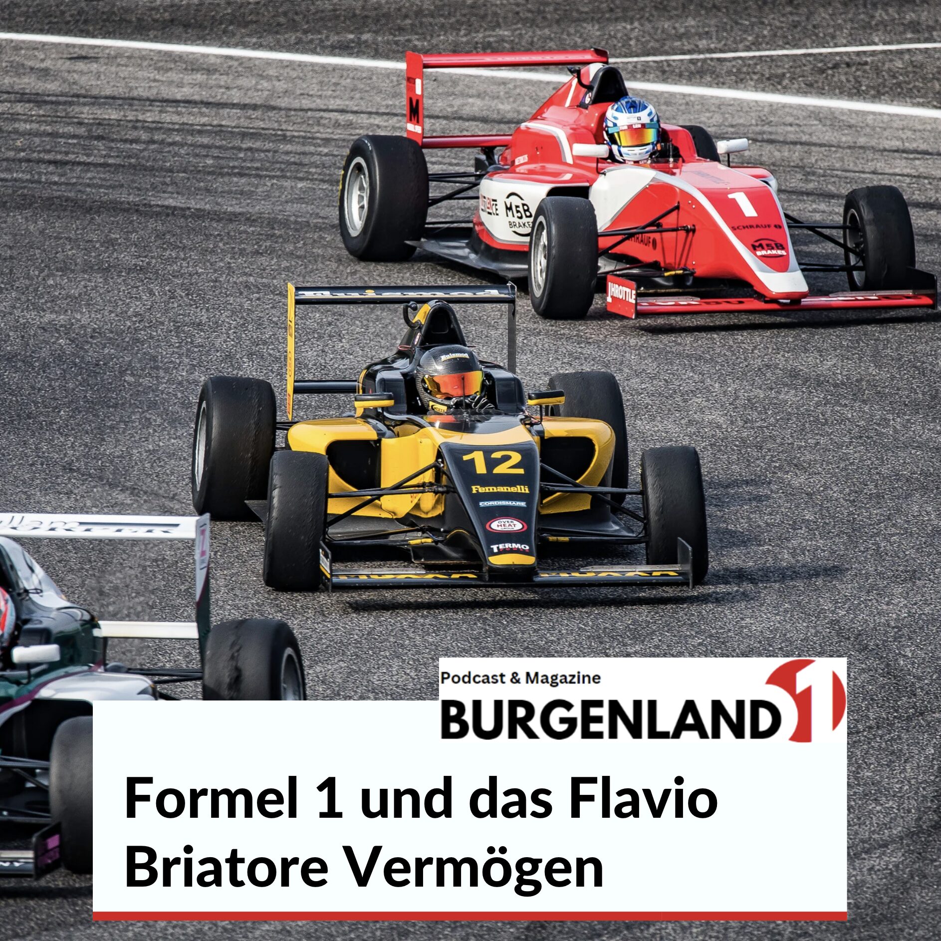 Formel 1 und das Flavio Briatore Vermögen