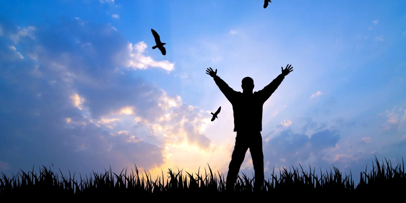 Sprüche zur Natur und Freiheit schöne Zitate und Lebensweisheiten