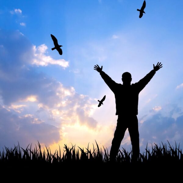 Sprüche zur Natur und Freiheit schöne Zitate und Lebensweisheiten