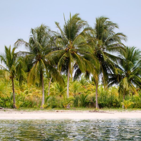 Besetzung von Lost Die Kult-Fernsehserie und ihr unvergesslicher Cast