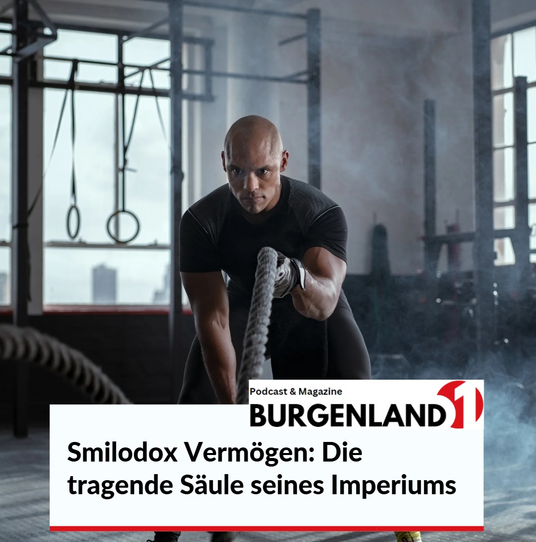 Smilodox Vermögen Die tragende Säule seines Imperiums Smilodox Vermögen Die tragende Säule seines Imperiums