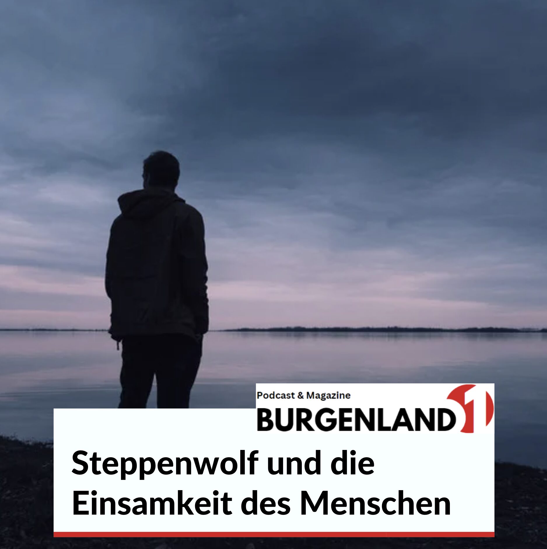 Steppenwolf und die Einsamkeit des Menschen