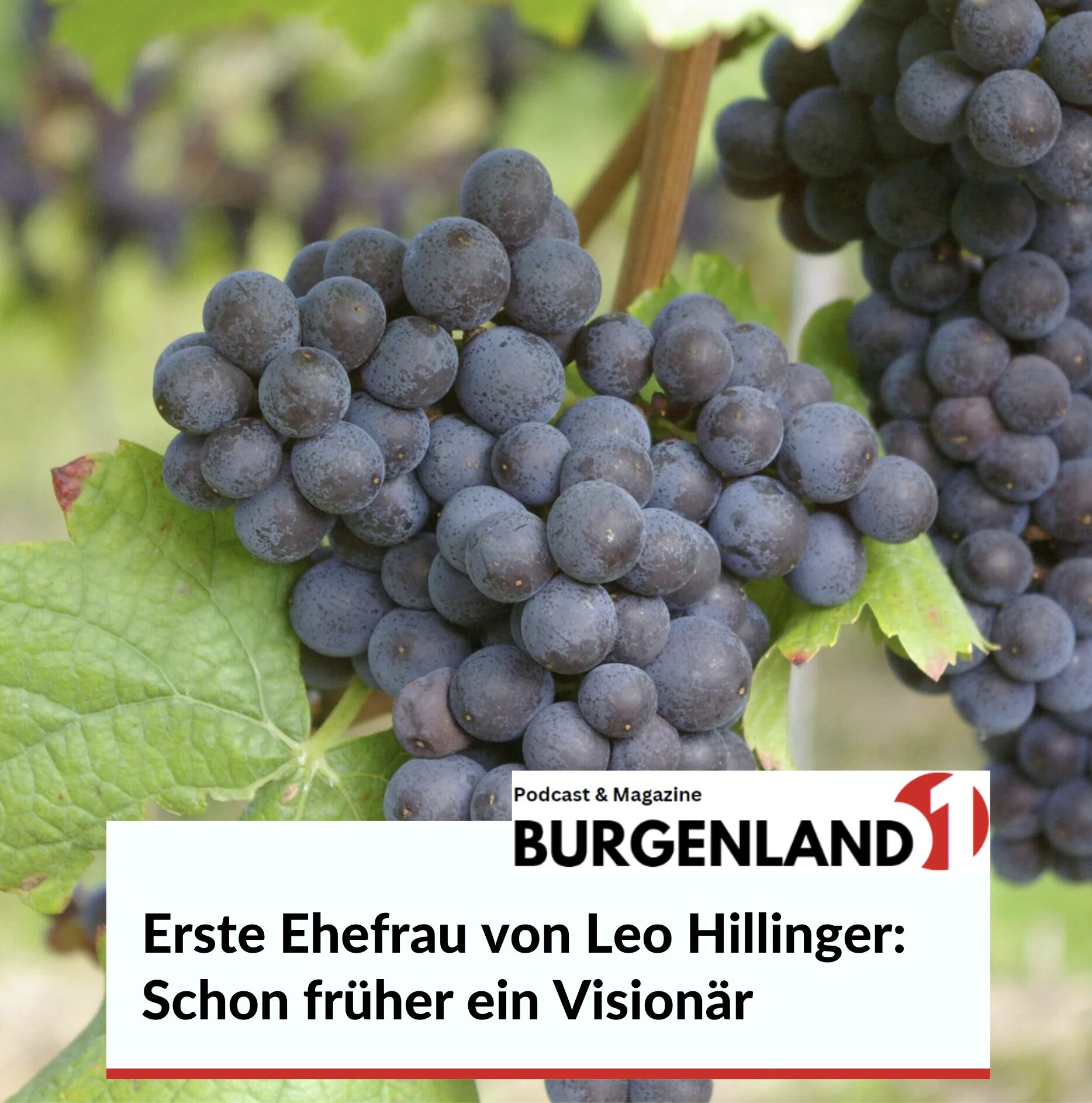 Erste Ehefrau von Leo Hillinger: Schon früher ein Visionär Erste Ehefrau von Leo Hillinger: Schon früher ein Visionär