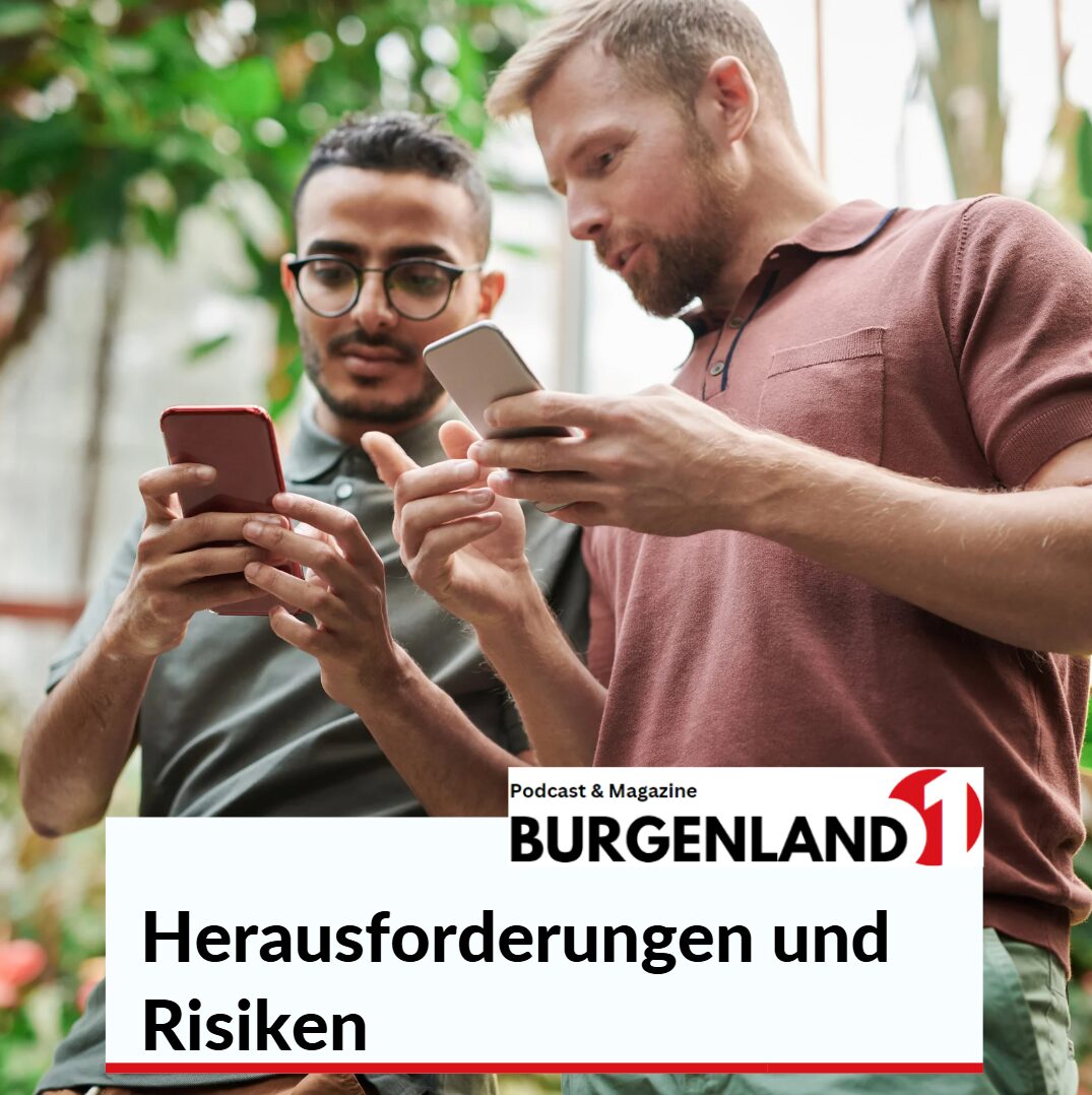 herausforderungen risiken
