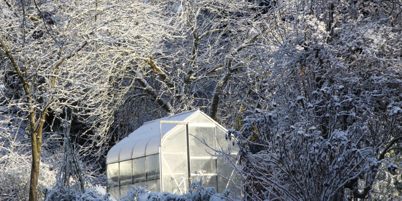 Gewächshaus im Herbst und Winter