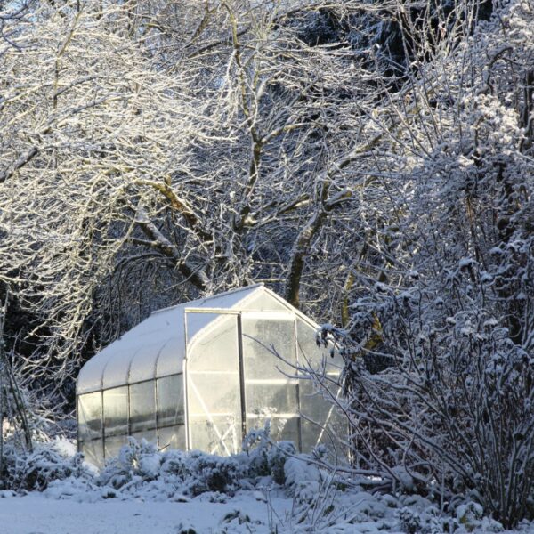 Gewächshaus im Herbst und Winter