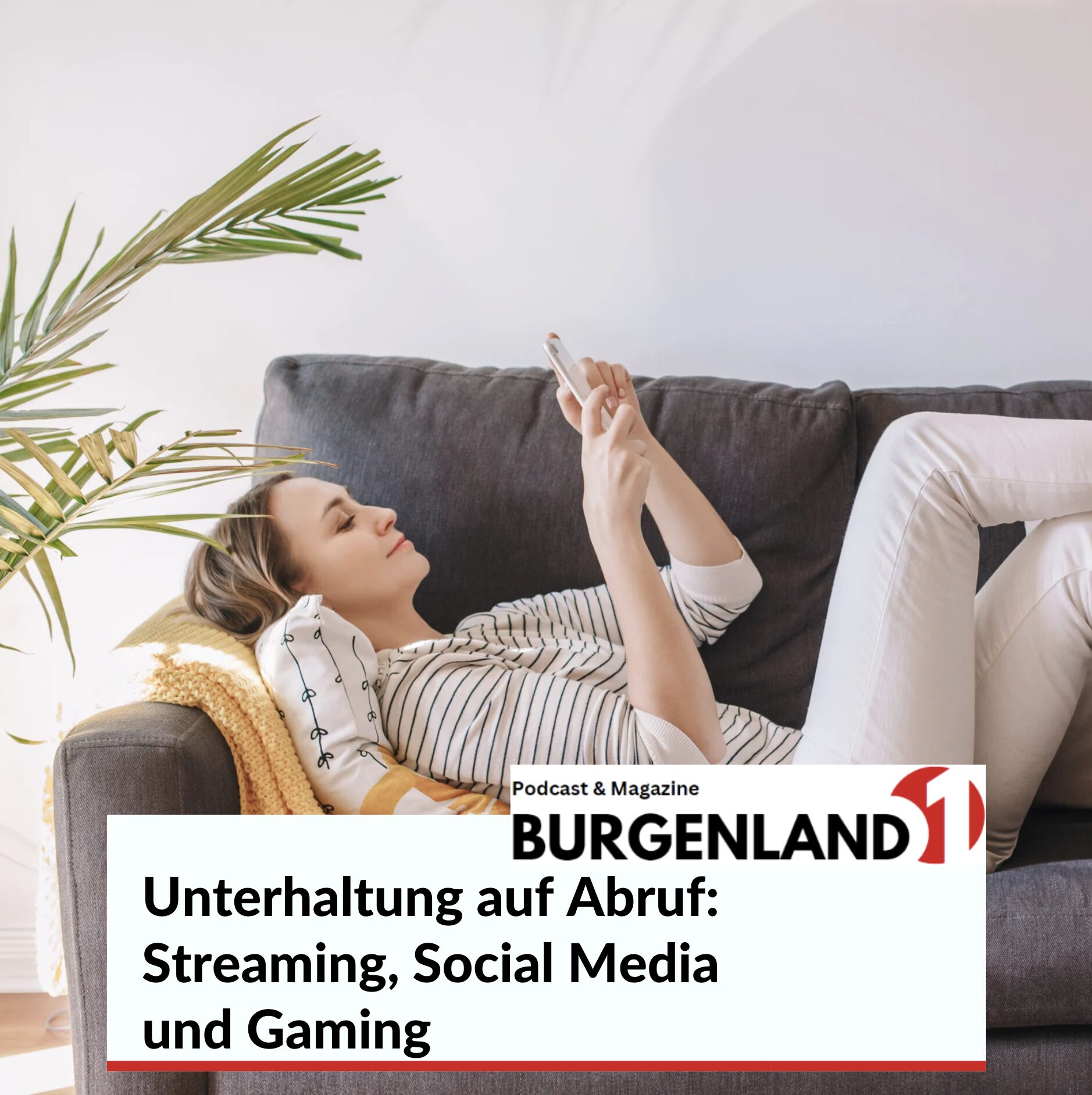 Unterhaltung auf Abruf Freizeitverhalten 