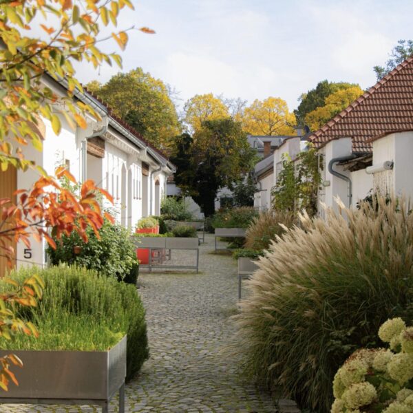 Mag. Maximilian Platz