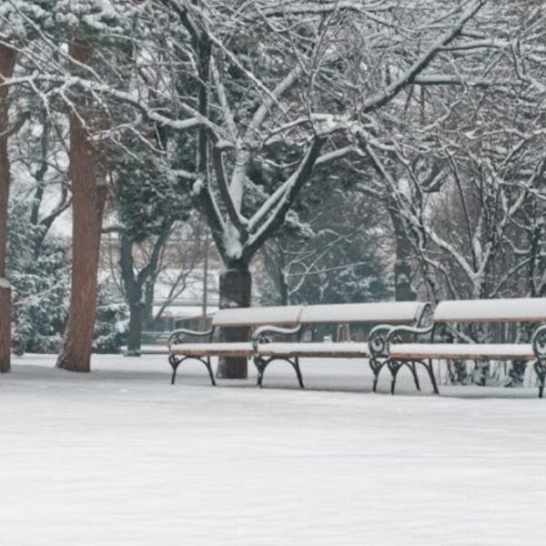 ausflugsziele rund um wien winter
