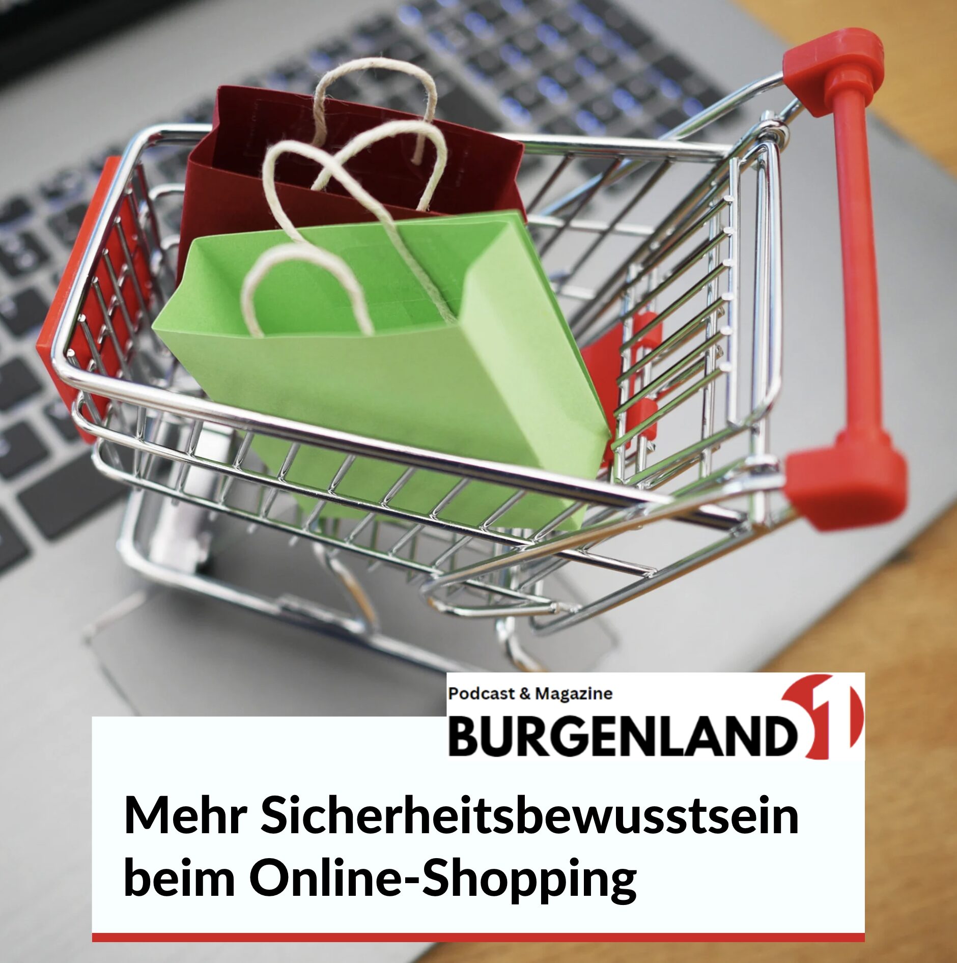 Mehr Sicherheitsbewusstsein beim Online-Shopping Mehr Sicherheitsbewusstsein beim Online-Shopping