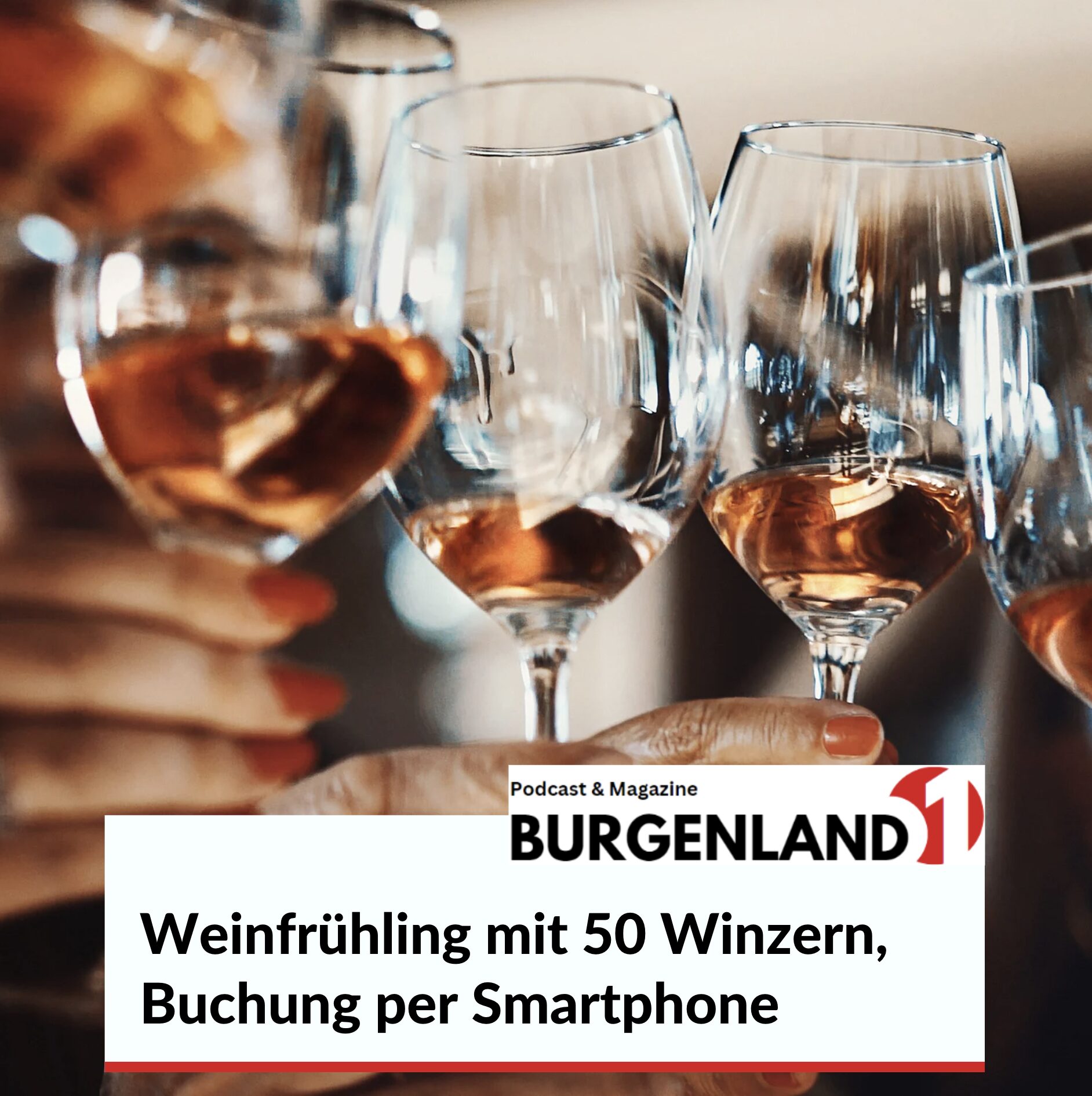 Weinfrühling mit 50 Winzern, Buchung per Smartphone Weinfrühling mit 50 Winzern, Buchung per Smartphone