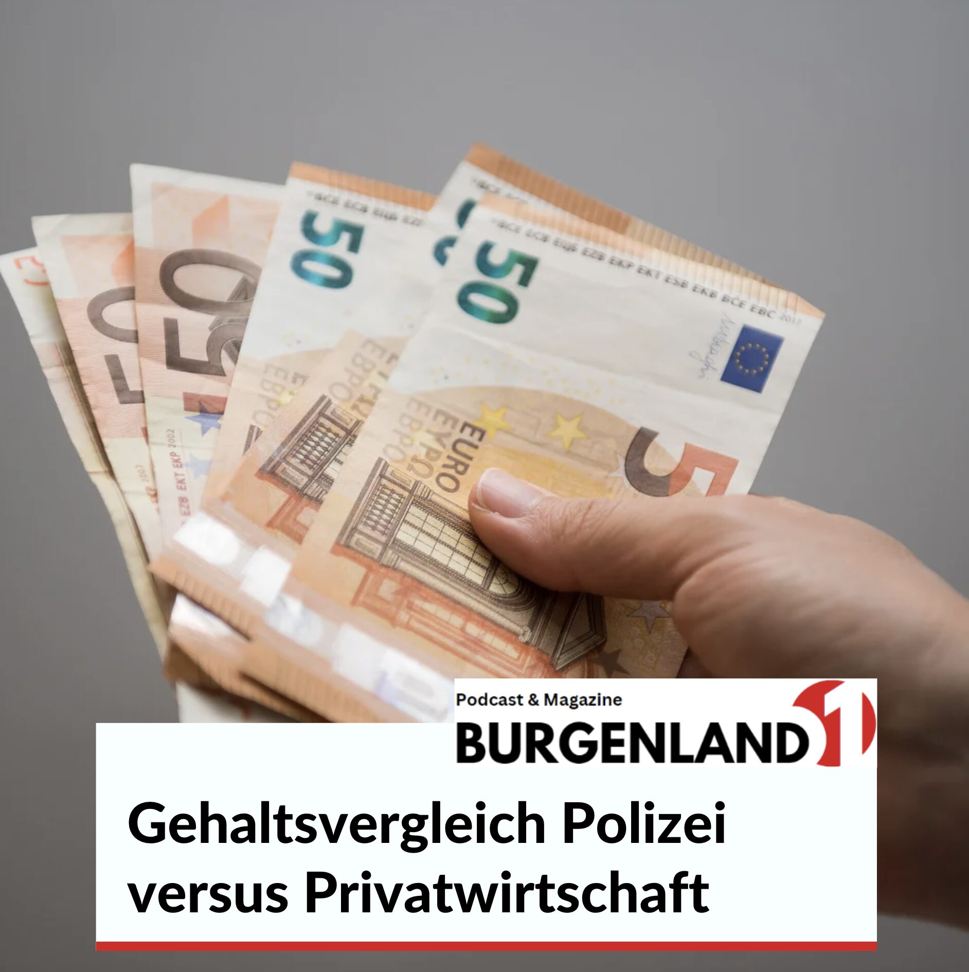 Netto Cobra Gehalt in Österreich: Gehaltsvergleich Polizei versus Privatwirtschaft Netto Cobra Gehalt in Österreich: Gehaltsvergleich Polizei versus Privatwirtschaft