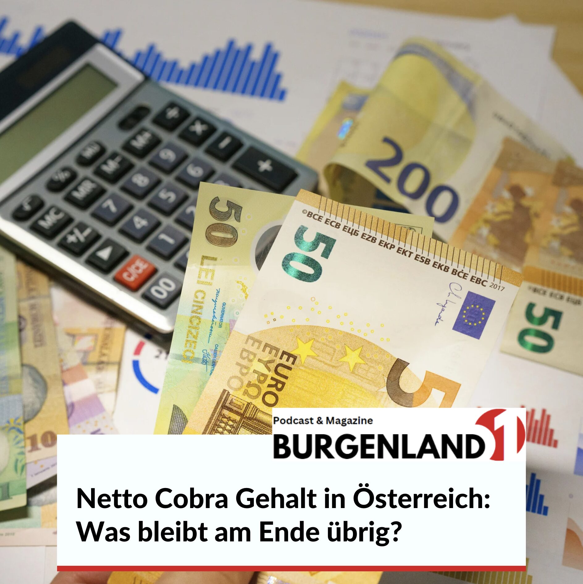 Netto Cobra Gehalt in Österreich: Was bleibt am Ende übrig? Netto Cobra Gehalt in Österreich: Was bleibt am Ende übrig?