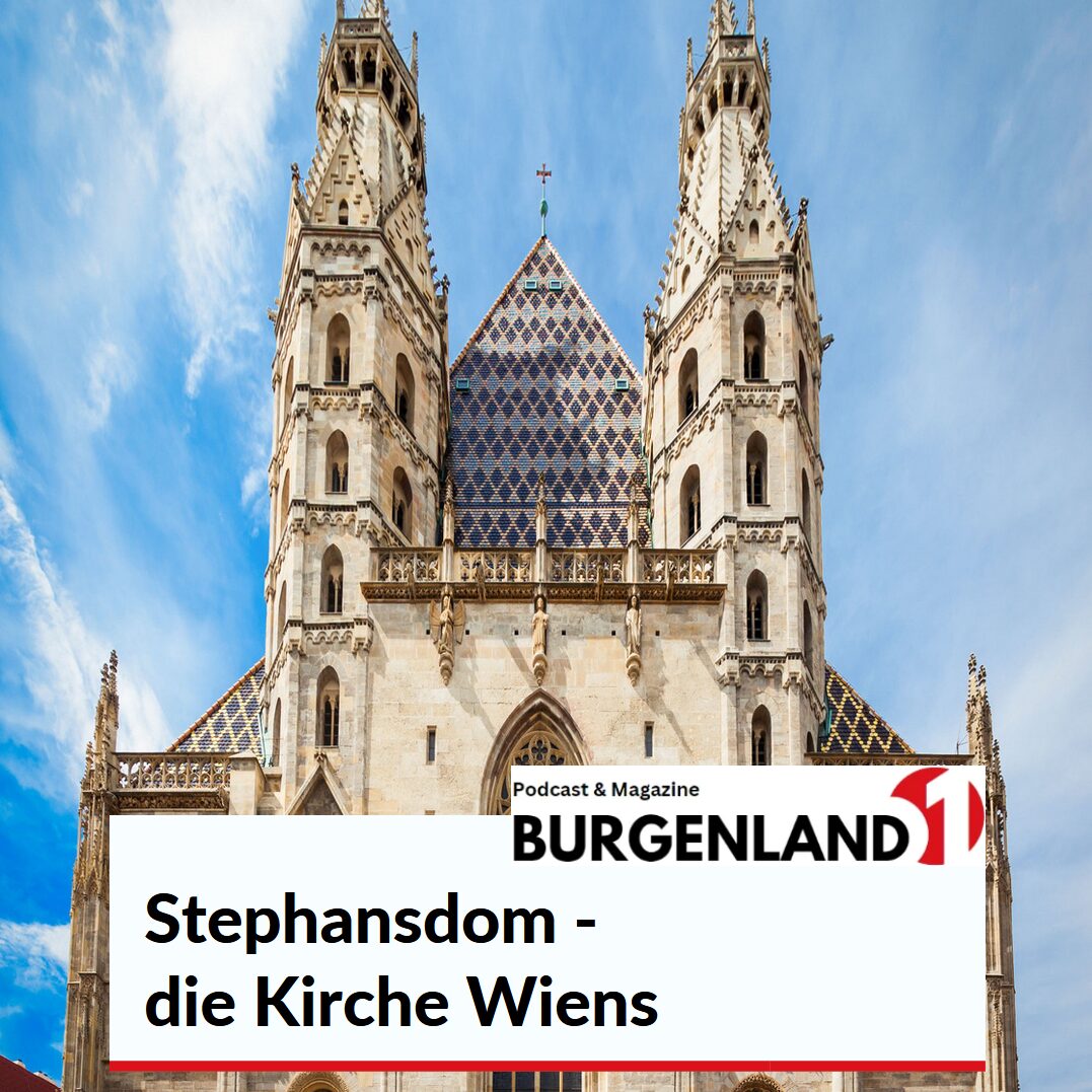 Stephansdom - die Kirche Wiens Stephansdom - die Kirche Wiens