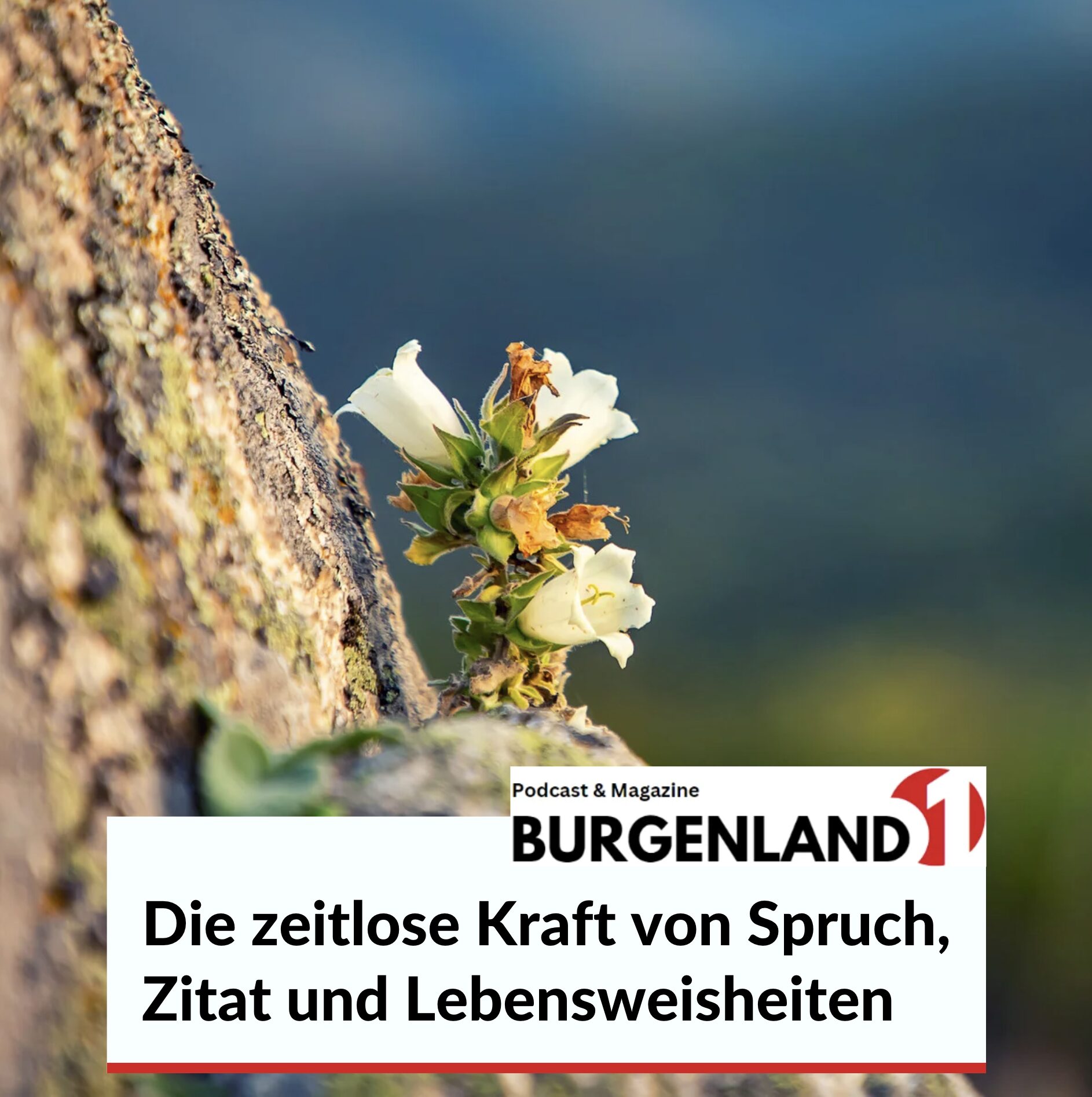 Die zeitlose Kraft von Spruch, Zitat und Lebensweisheiten Die zeitlose Kraft von Spruch, Zitat und Lebensweisheiten