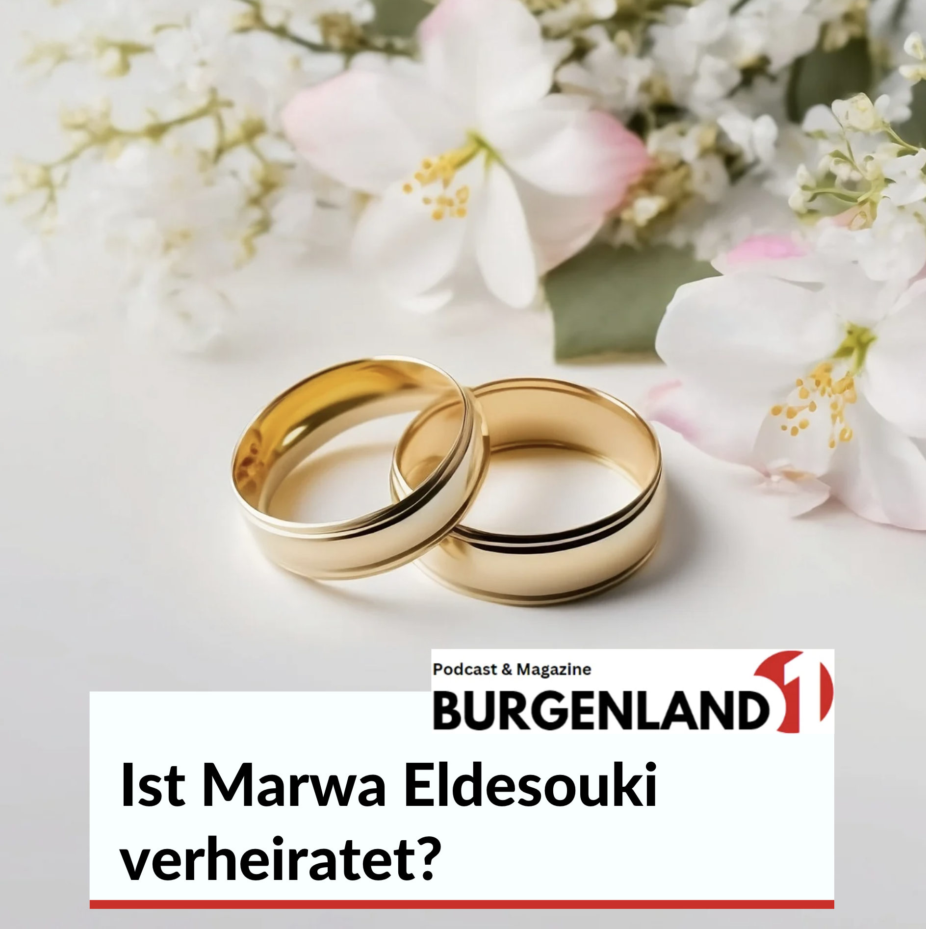 Ist Marwa Eldesouki verheiratet? Ist Marwa Eldesouki verheiratet?