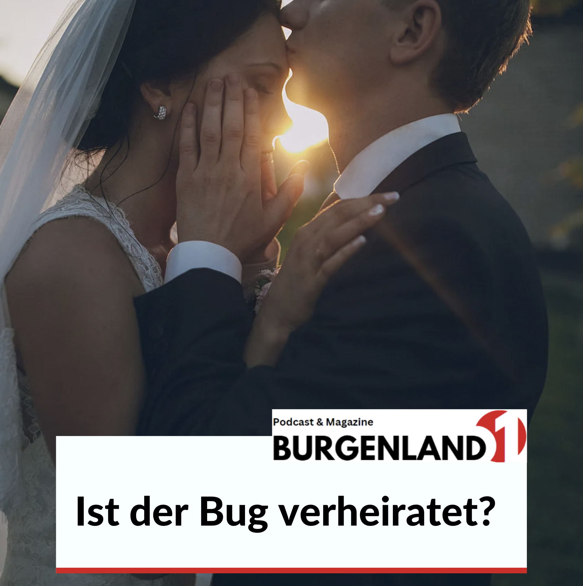 Ist der Bug verheiratet? Ist der Bug verheiratet?