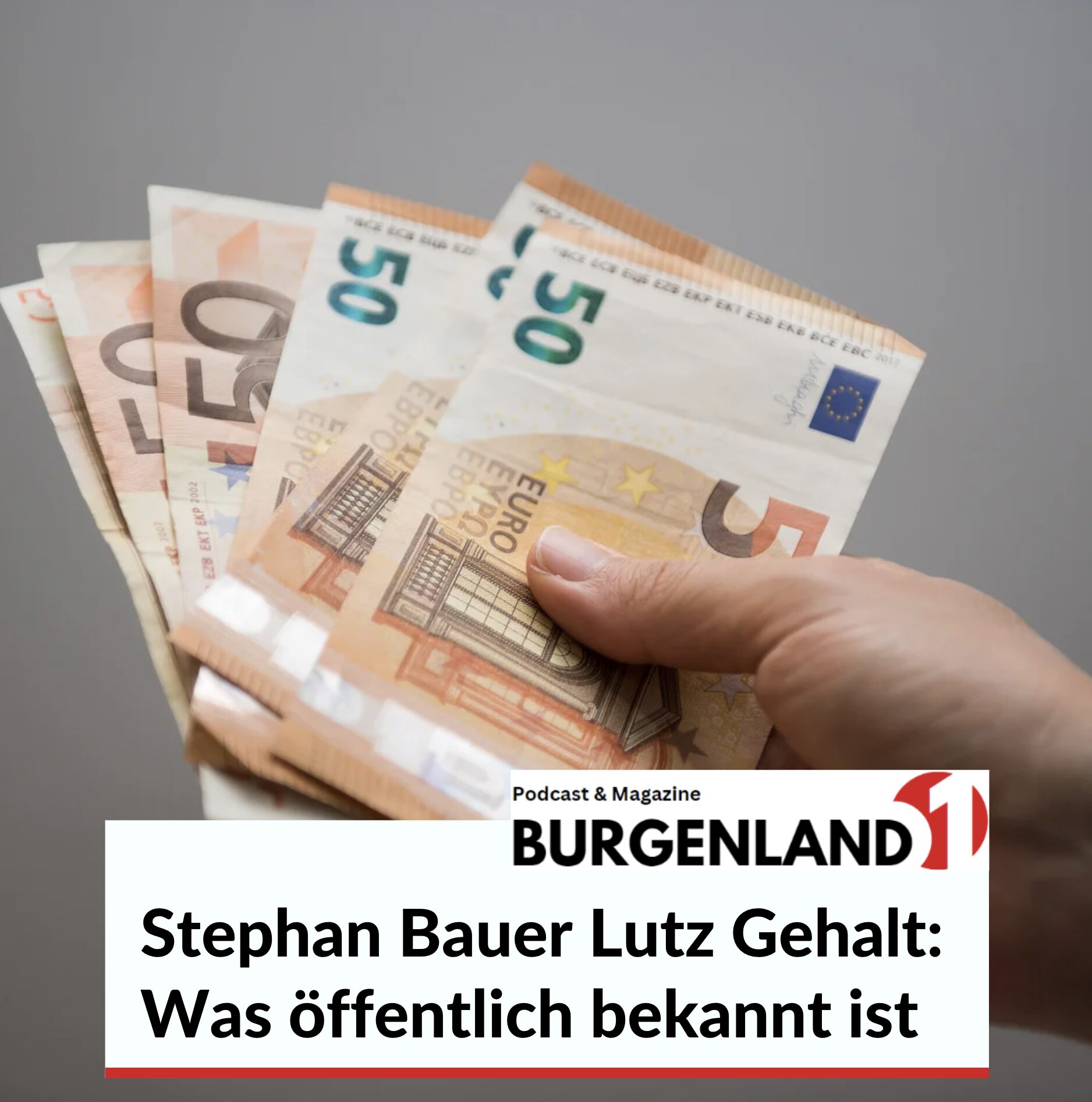 Stephan Bauer Lutz Gehalt: Was öffentlich bekannt ist Stephan Bauer Lutz Gehalt: Was öffentlich bekannt ist