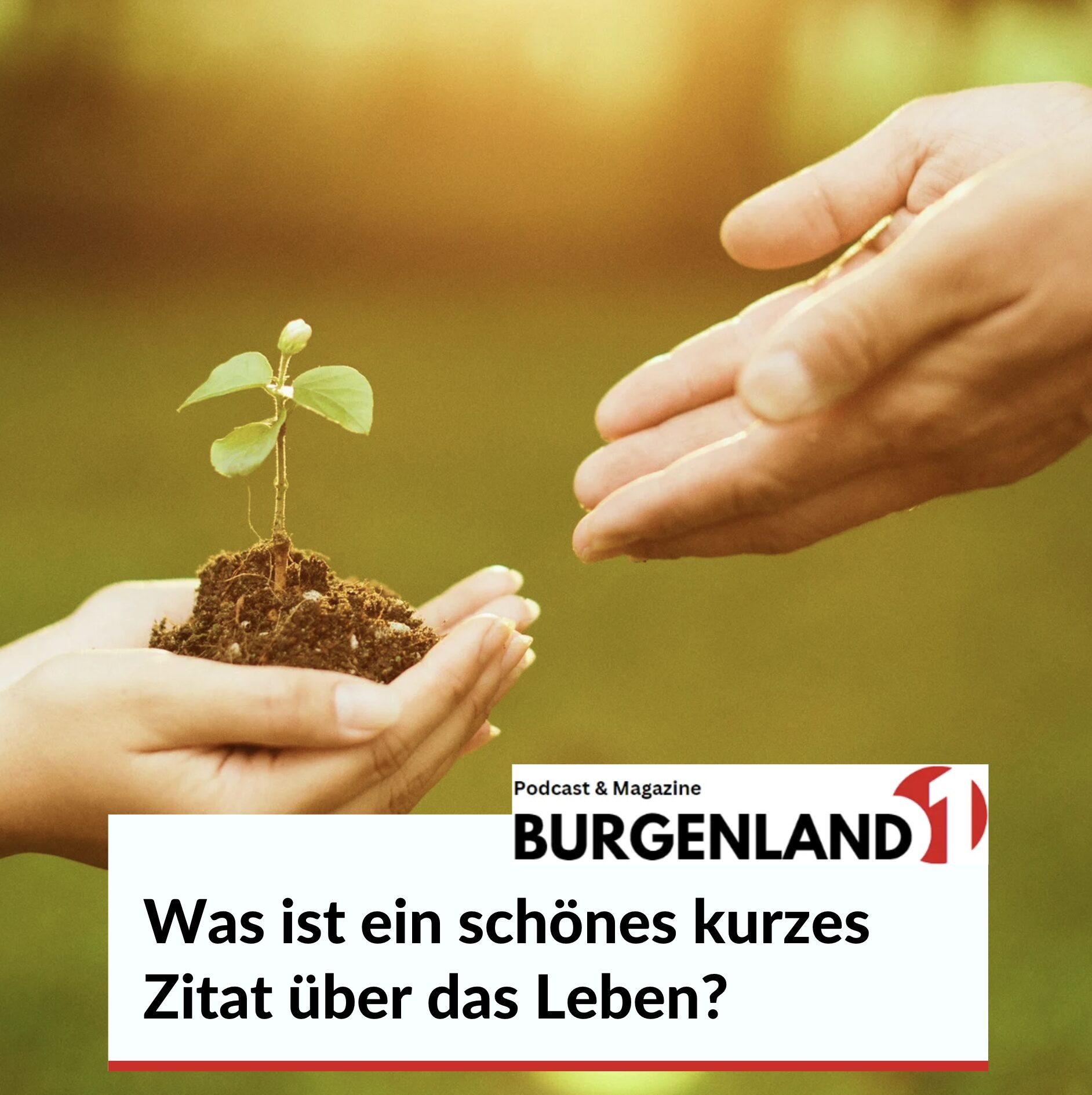 Was ist ein schönes kurzes Zitat über das Leben? Was ist ein schönes kurzes Zitat über das Leben?