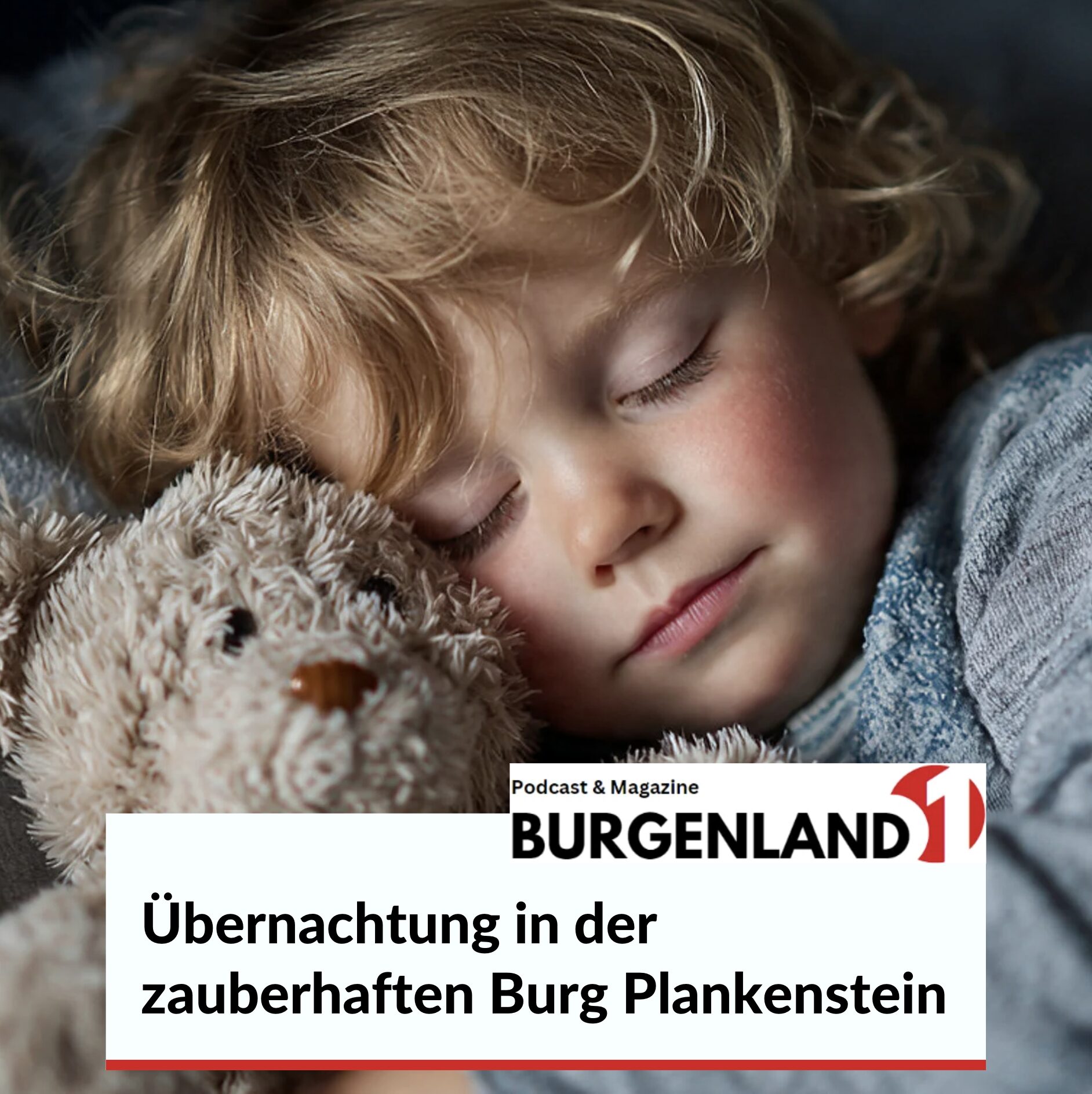 Übernachtung in der zauberhaften Burg Plankenstein in Niederösterreich Übernachtung in der zauberhaften Burg Plankenstein in Niederösterreich